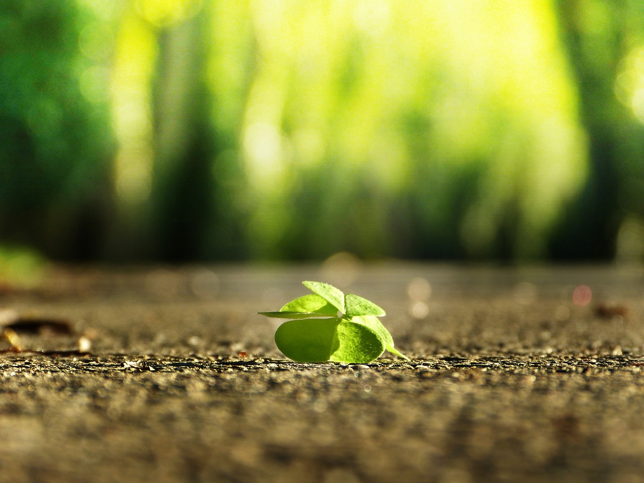 Can Confidence Increase Your Assertiveness?